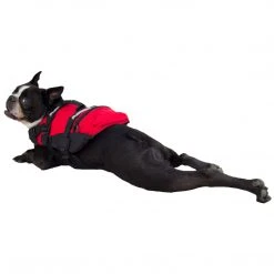 NRS Dog Flotation Lifejacket