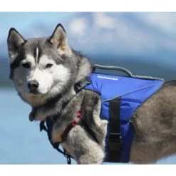 KAYAK Stohlquist Pup Float Dog Lifejacket (PFD)