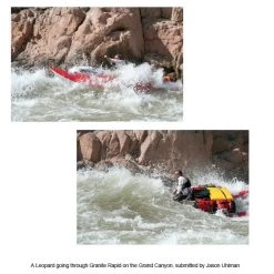 RAFTING AIRE Leopard 18' Cataraft 19 RAFTING AIRE Leopard 18' Cataraft