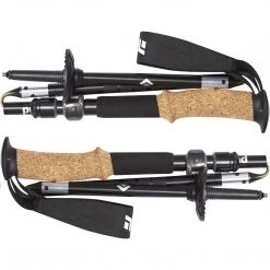 Black Diamond Alpine FLZ Trekking Poles