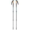 Black Diamond Alpine Carbon Cork WR Trekking Poles 1 Black Diamond Alpine Carbon Cork WR Trekking Poles