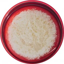 MSR Guardian Water Filter Cartridge Replacement RAFTING