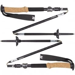 Black Diamond Alpine FLZ Trekking Poles
