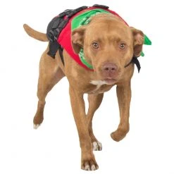 NRS Dog Flotation Lifejacket