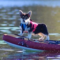 KAYAK Stohlquist Pup Float Dog Lifejacket (PFD)